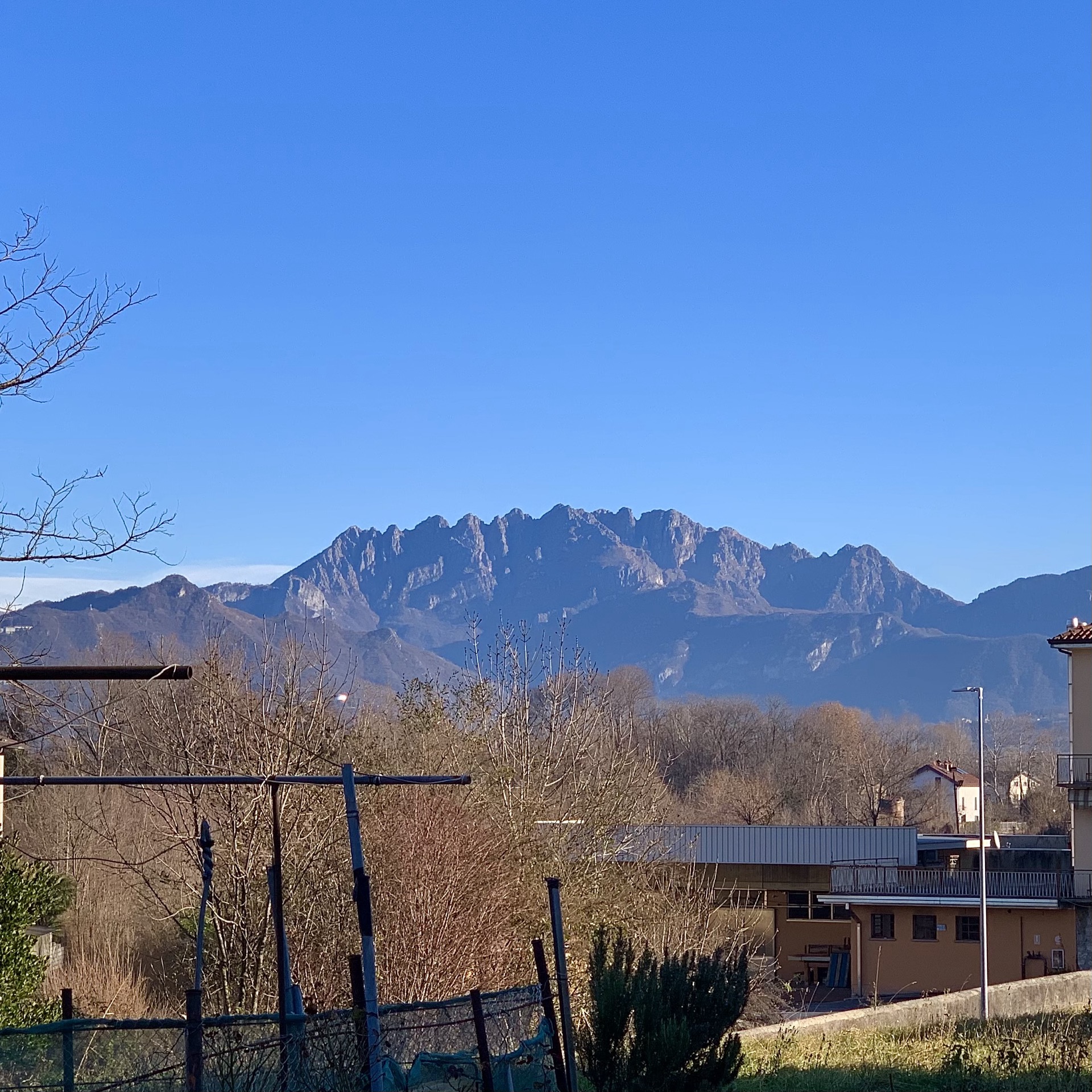 Settimana 51