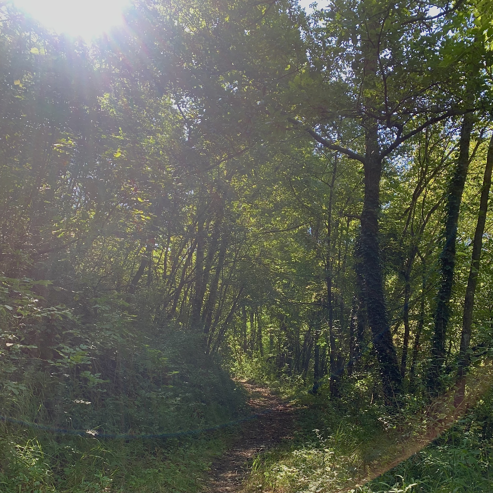 appennino