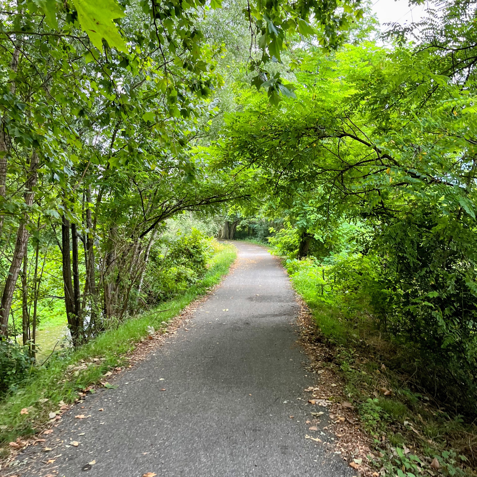 Ciclabile