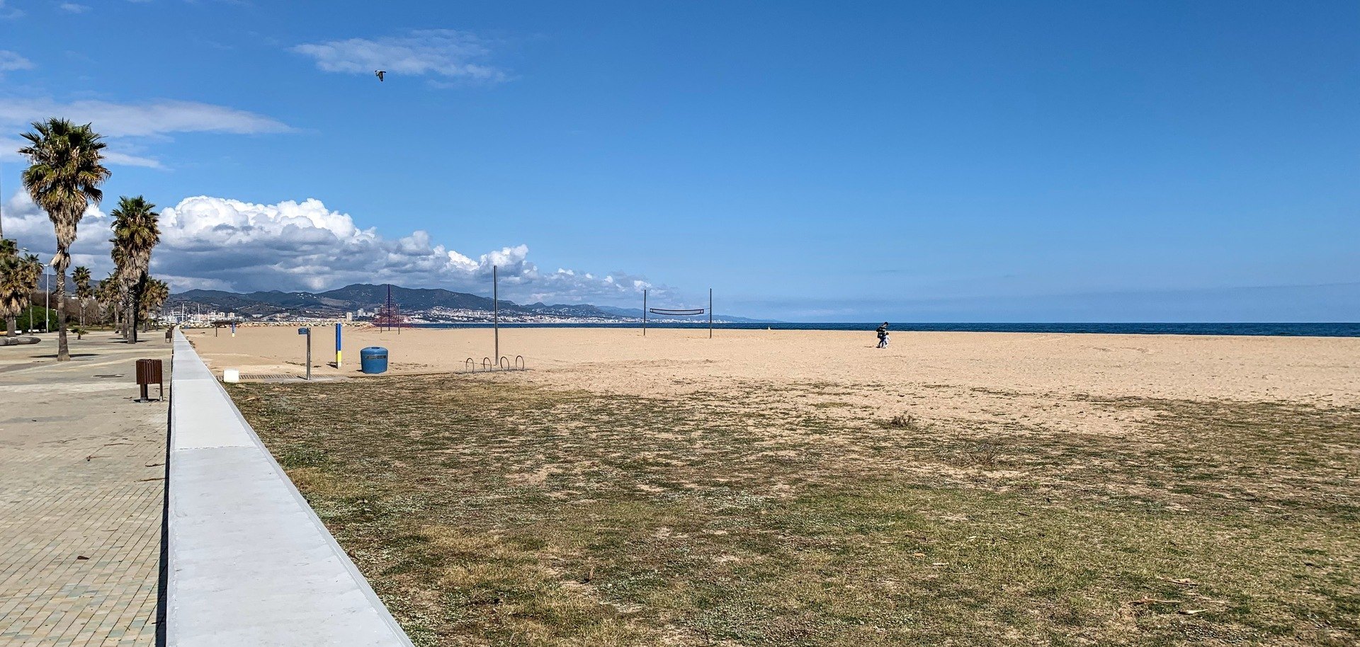 mare