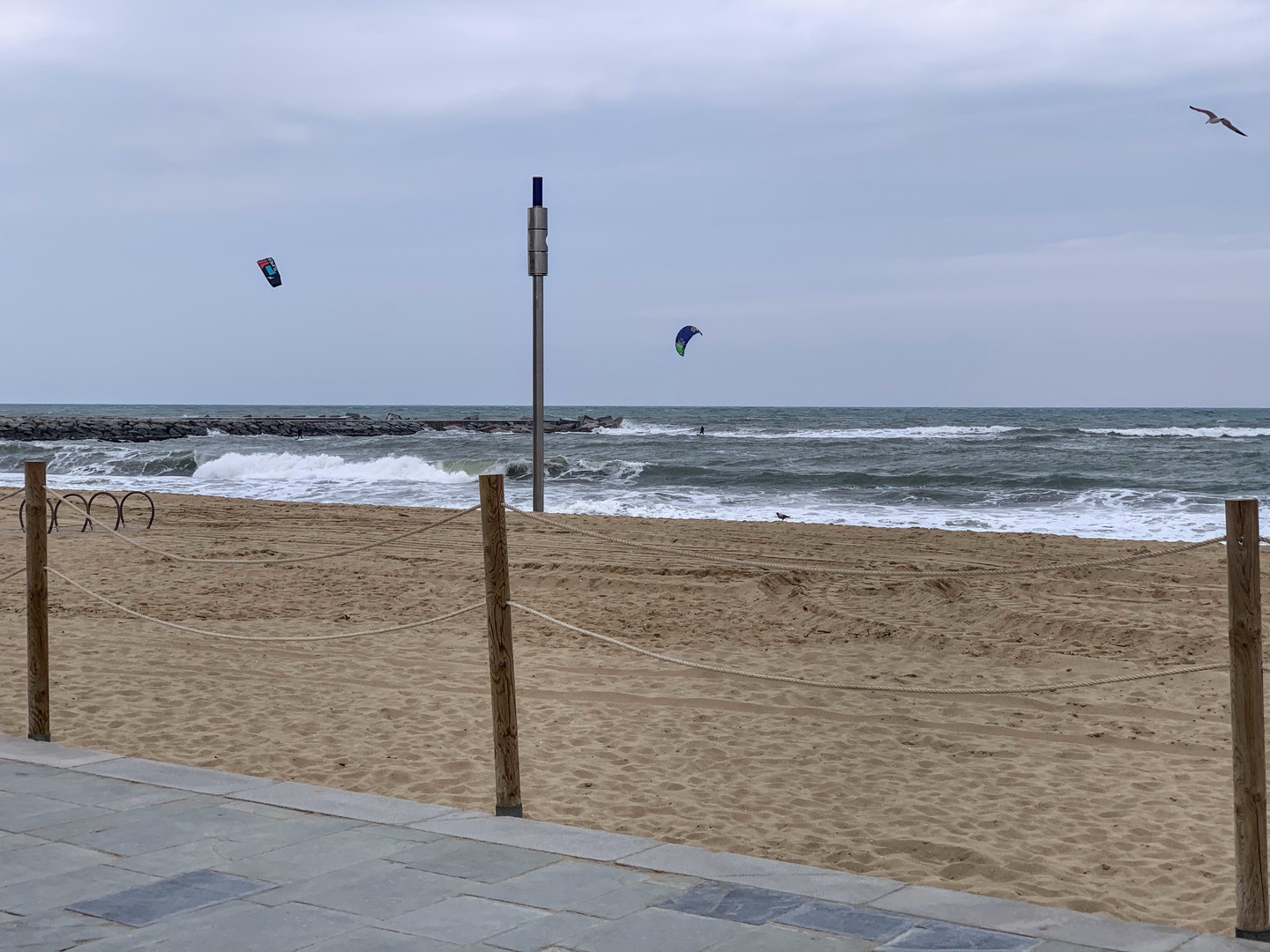 windy