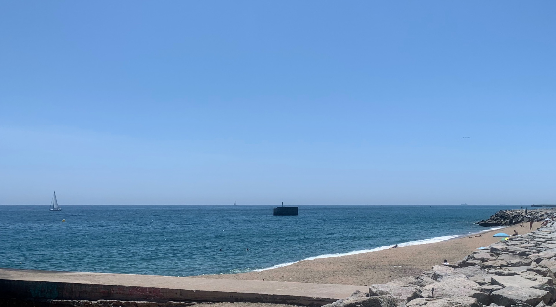 mare