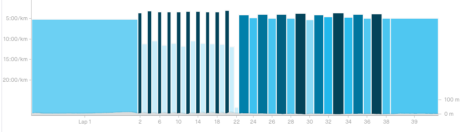 grafico